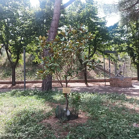 Jack's House - Tourist - Séjour chez l'habitant Rome