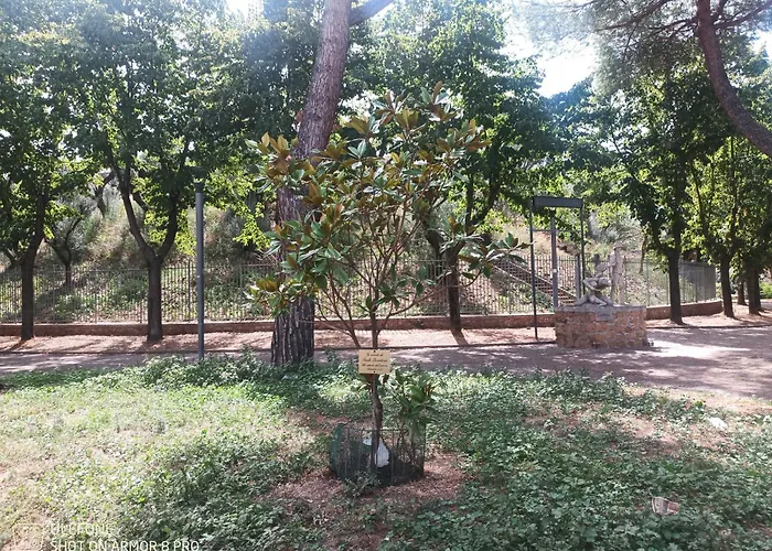 Jack's House - Tourist - Homestay Rome